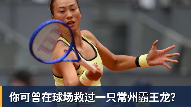 MK体育你可曾在球场救过一只常州霸王龙？